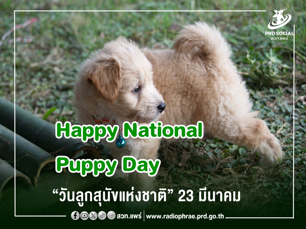 23 มีนาคม “วันลูกสุนัขแห่งชาติ”